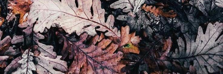 AgusBust's profile banner image