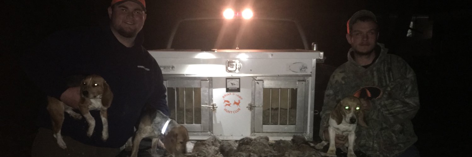 slinkyneckk's profile banner image