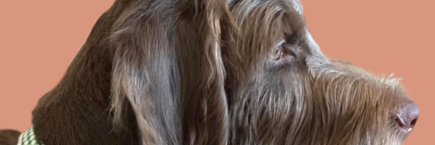 gregorydunn's profile banner image