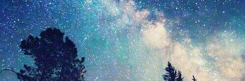 wvsrs8's profile banner image