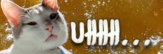 dabbzeez's profile banner image