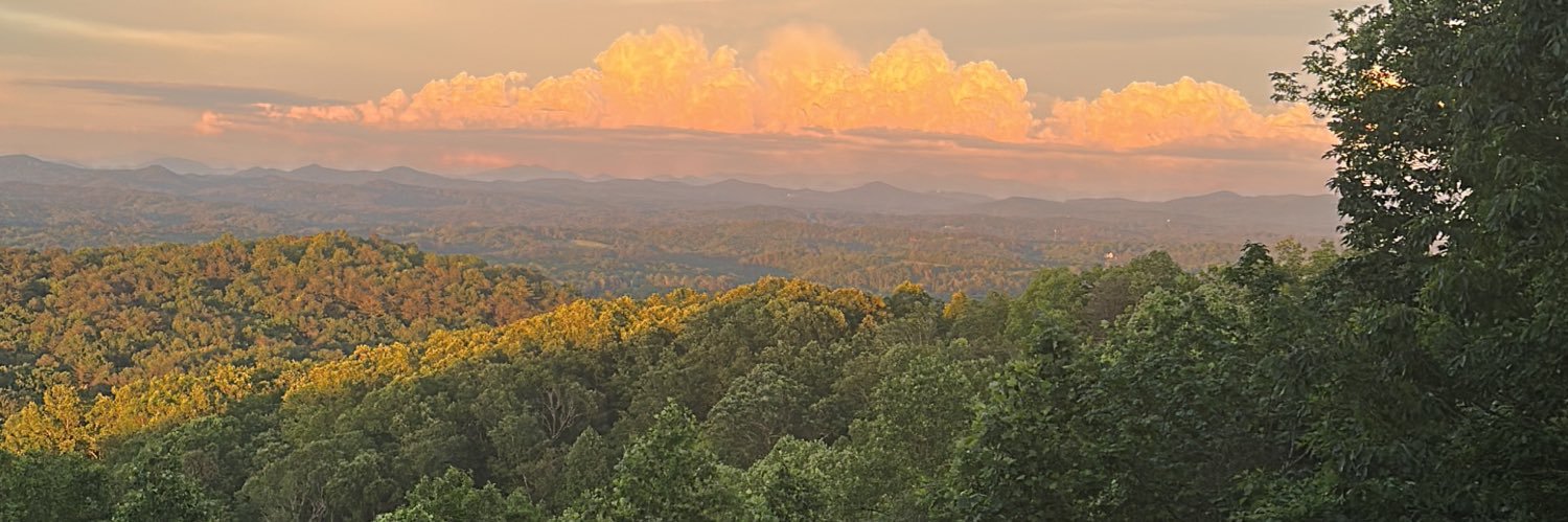 Benjamin Alcorn banner