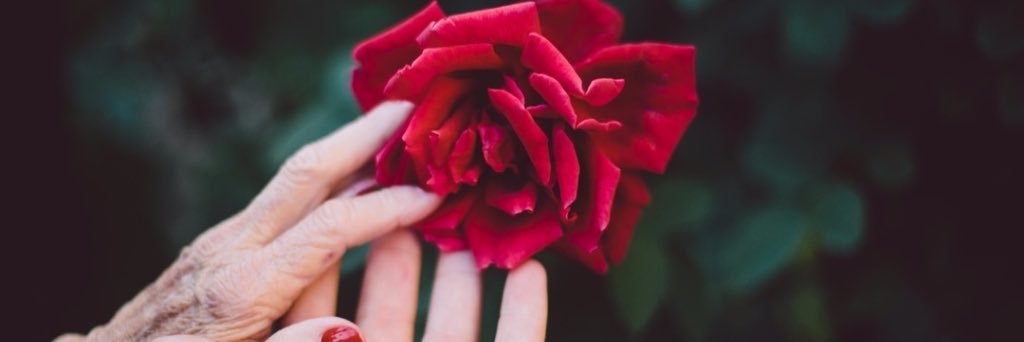 LouiseMerlot's profile banner image