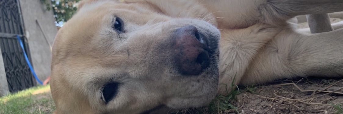 AlexRdz6's profile banner image