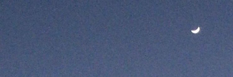 renhesabol's profile banner image