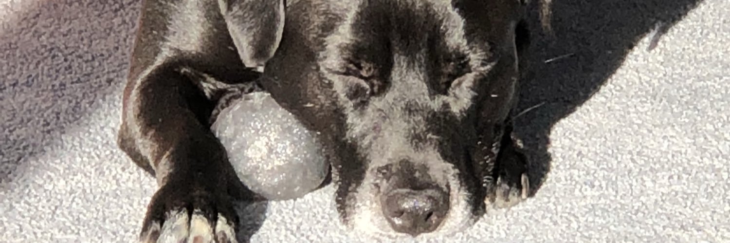 carlydcary's profile banner image