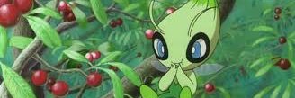 Twitt banner
