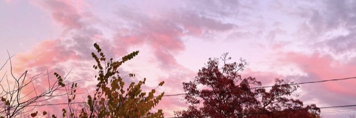 Uriko44's profile banner image
