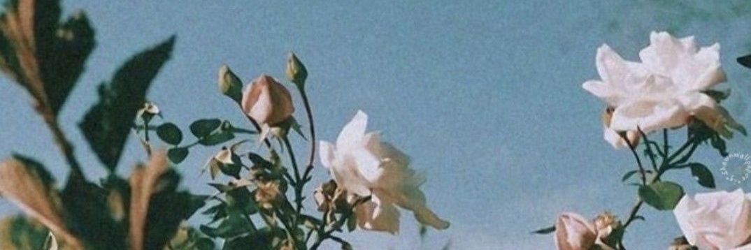 L4u28o2's profile banner image