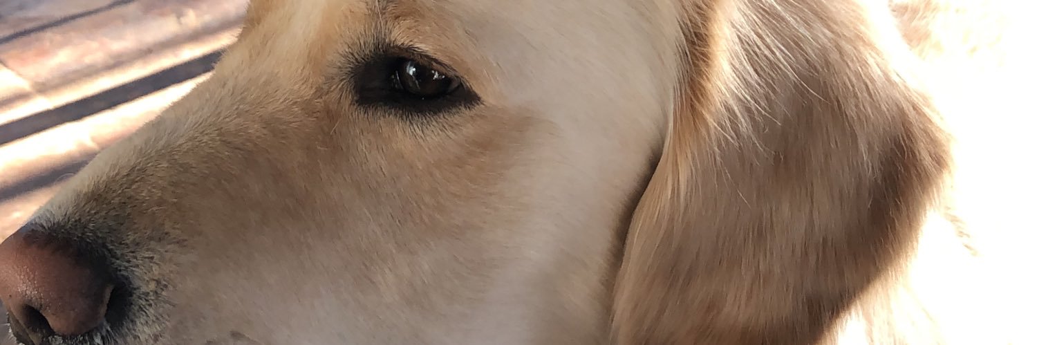 A_becker93's profile banner image