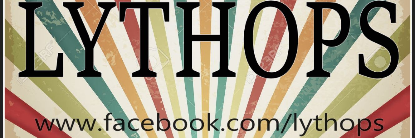 Lythops's profile banner image