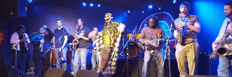 LateBloomerBand's profile banner image