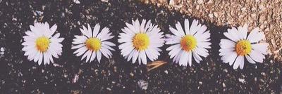 stownlove's profile banner image