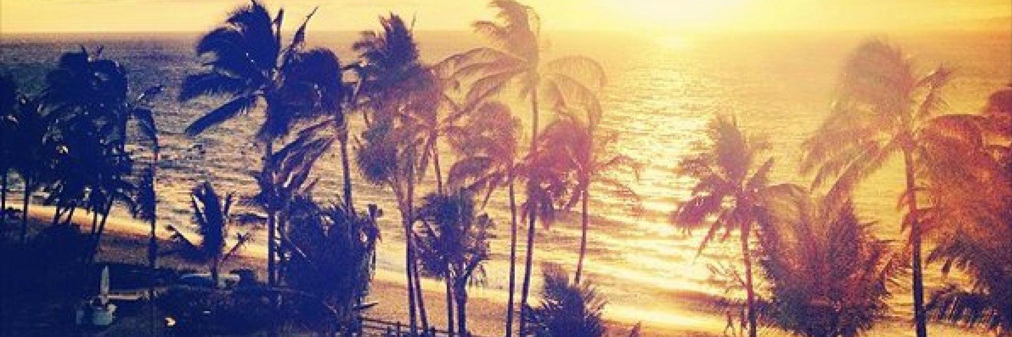 asgreataskate's profile banner image