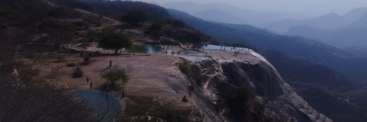 pinus_sp's profile banner image