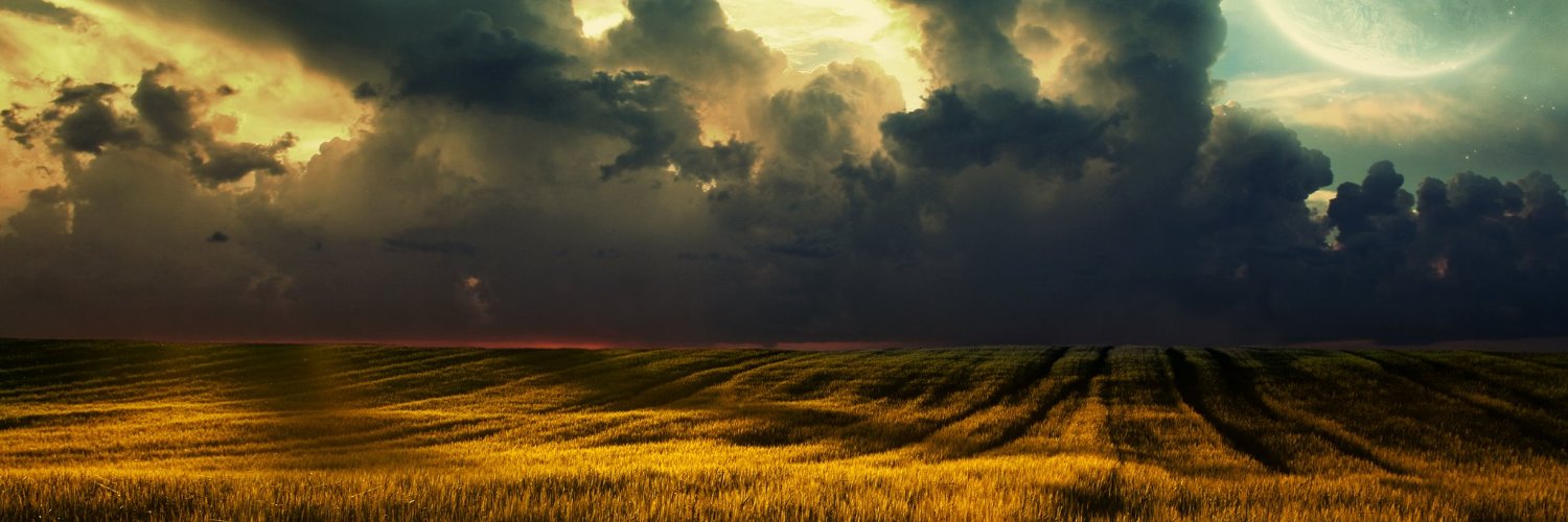 Pale King of the Stars banner