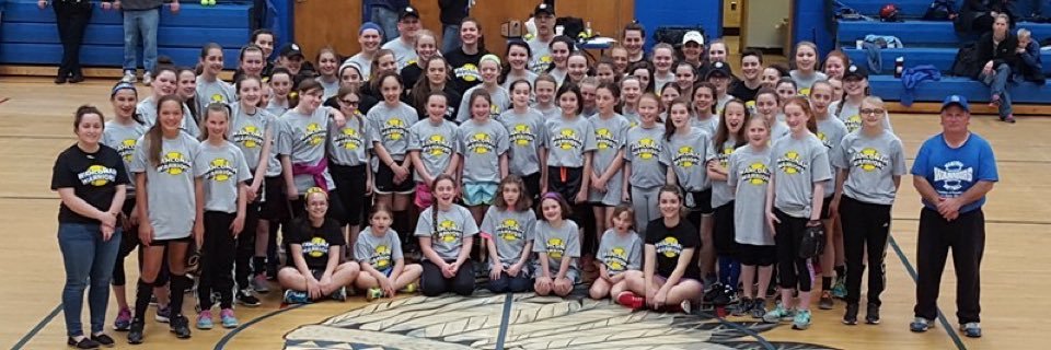 softballwrhs's profile banner image