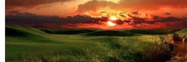 ahavir Profile Banner