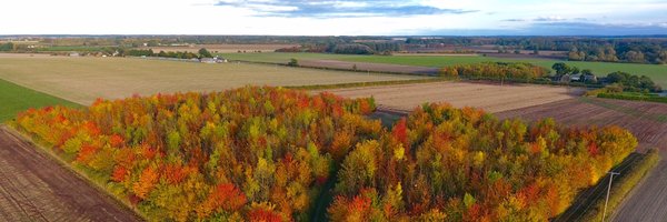 daveyav Profile Banner