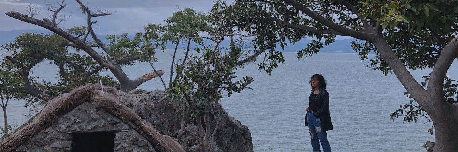 arelicarrion's profile banner image