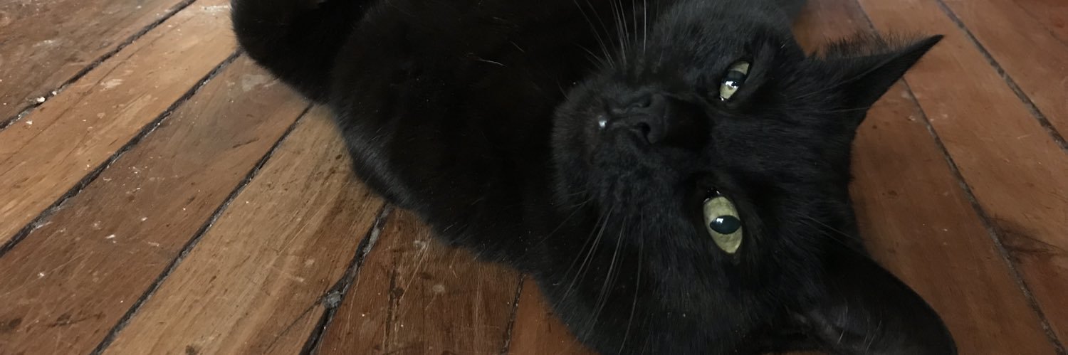 ArielAcunaA's profile banner image