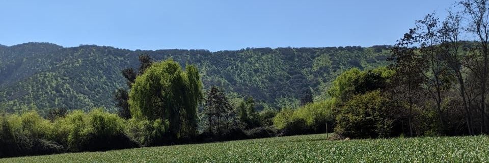c_salgadop's profile banner image