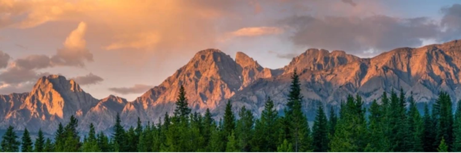 David Knight Legg banner