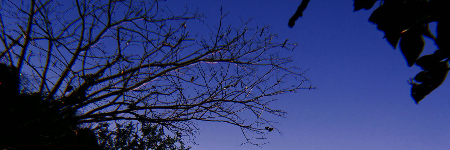 IzielliM's profile banner image