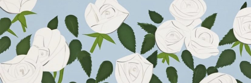 marcia coco banner