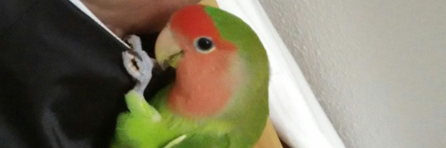 EnriqueBayoB's profile banner image