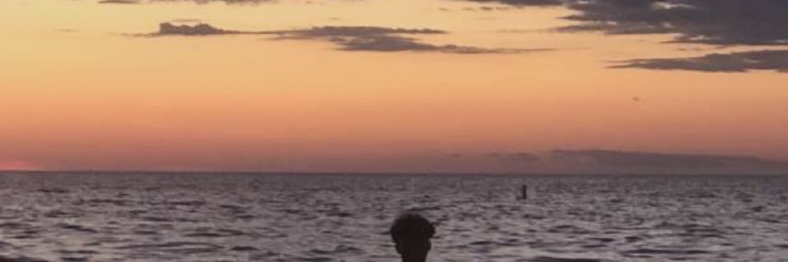 tlegedza88's profile banner image