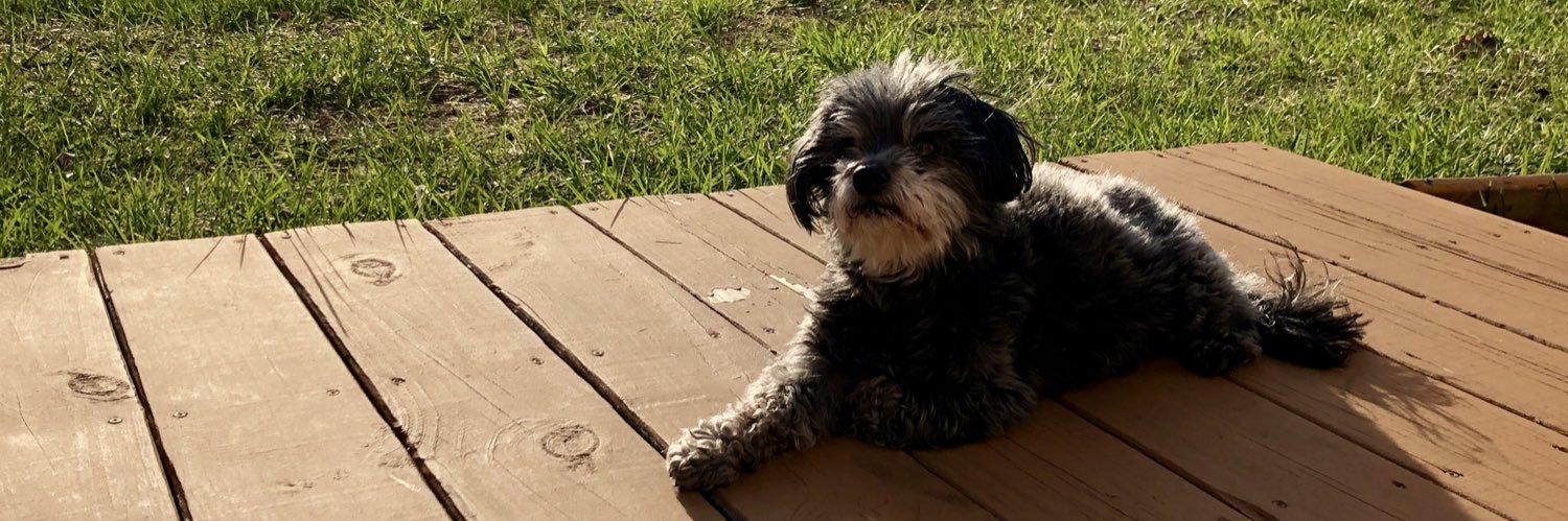 itssjennnn19's profile banner image