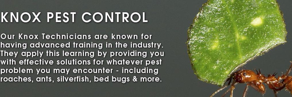 KnoxPestCtrl's profile banner image