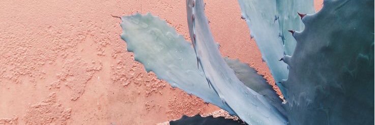 elfglsn's profile banner image