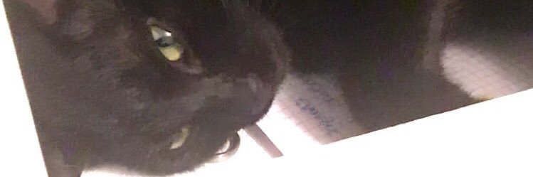 redlamina's profile banner image