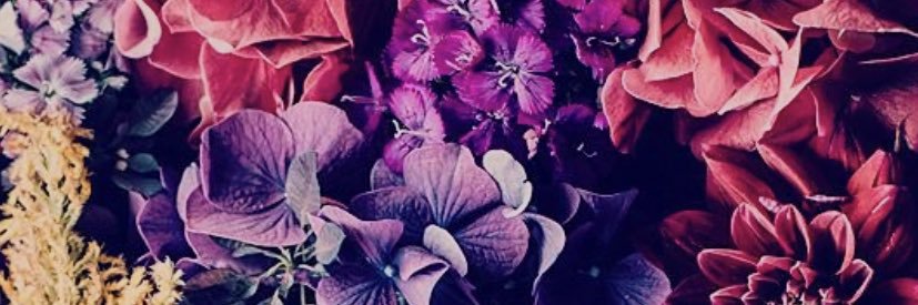 Innocentlyevil_'s profile banner image