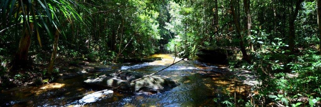 VisitPhuQuoc's profile banner image
