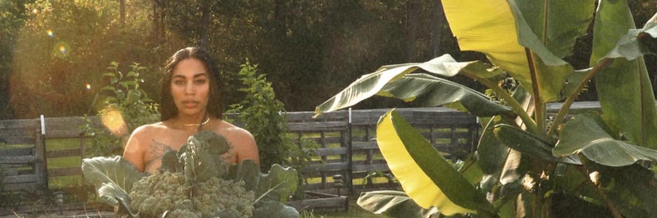 SαvαnnαXO banner