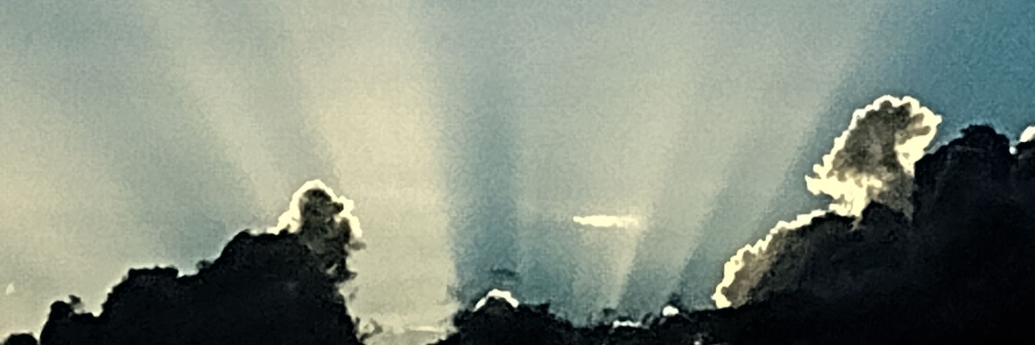 nmyslow's profile banner image