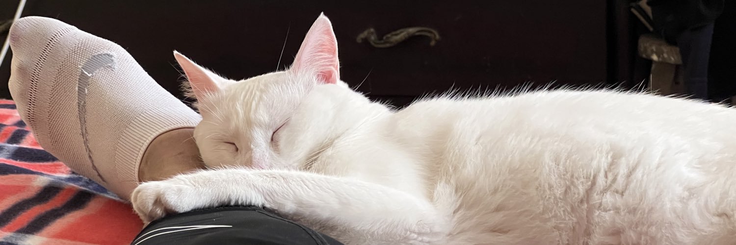 vitutox's profile banner image