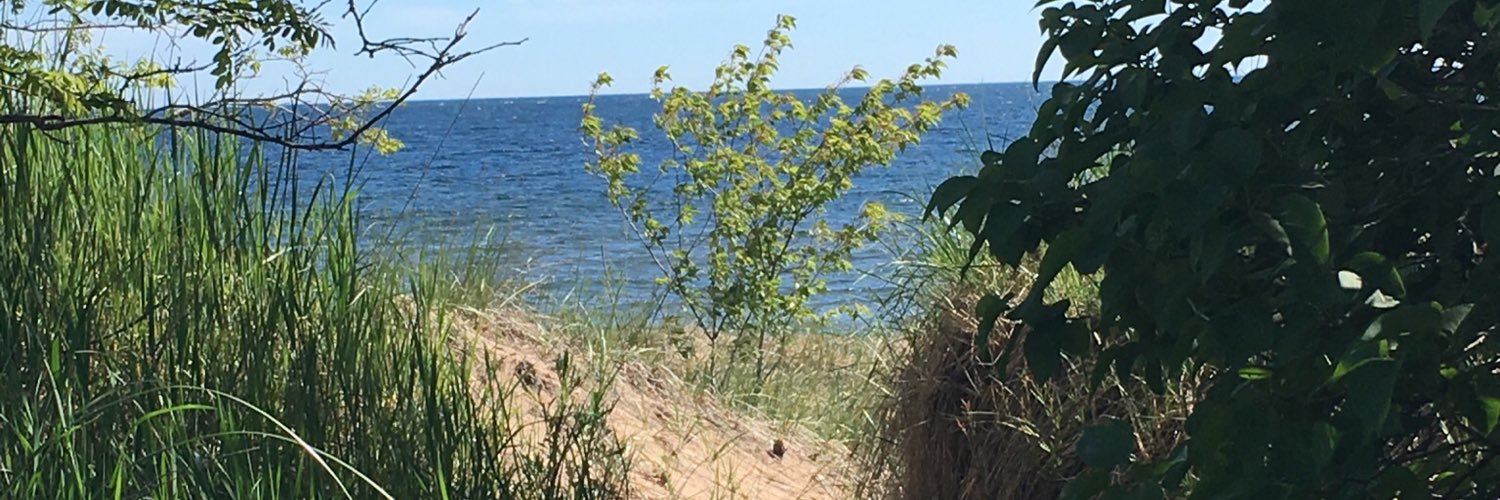 aliannie1978's profile banner image