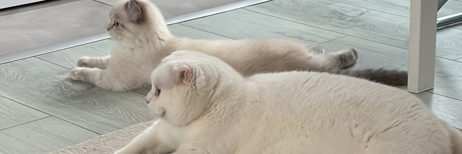 rszdry's profile banner image