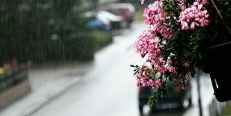 ALQRNAA's profile banner image