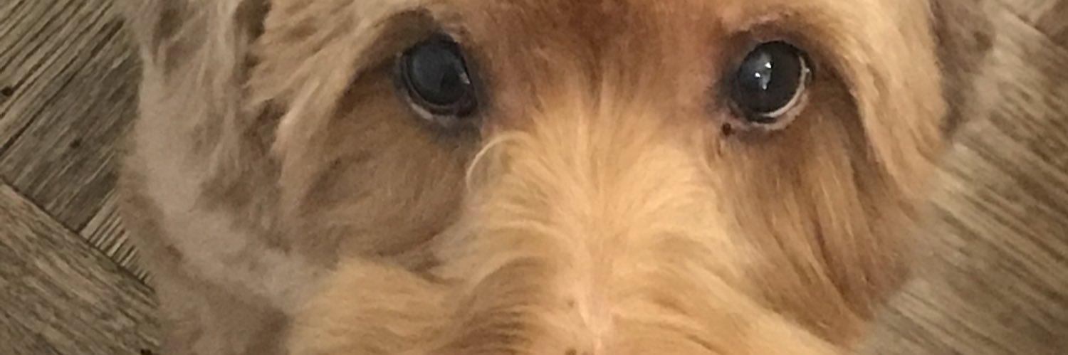 Big_Bob_Digital's profile banner image