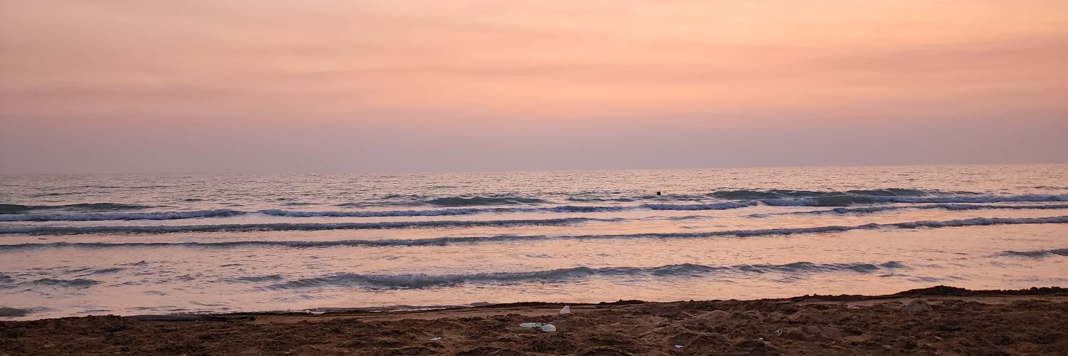 Reza Daneshmand banner