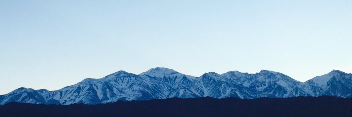 Sofia Gambetta banner