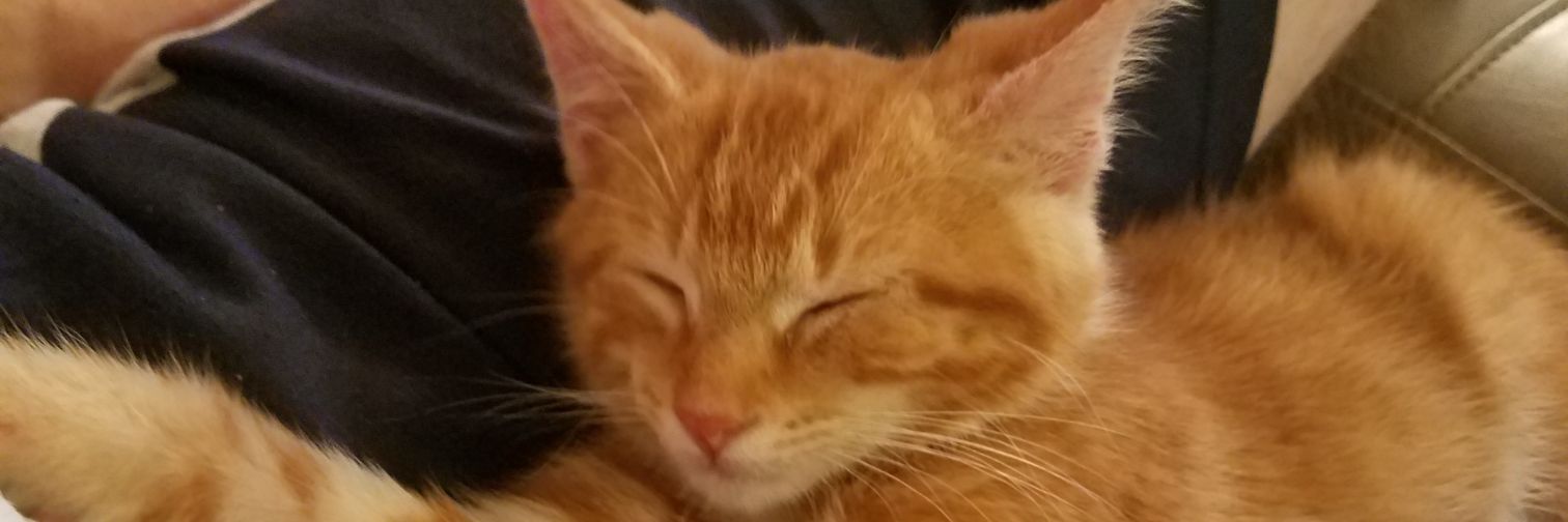aaronvogrin's profile banner image