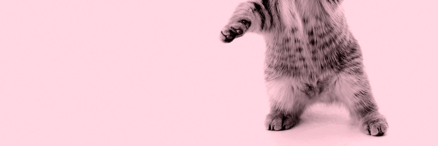 VickyMasiero's profile banner image