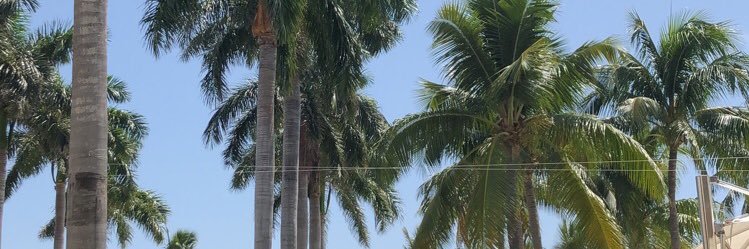 madsdunn's profile banner image