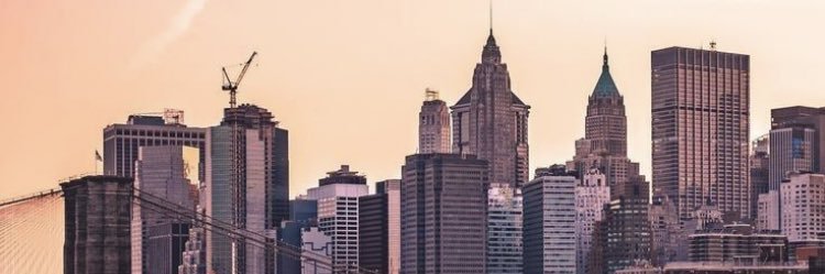 Tinny_Elephant2's profile banner image